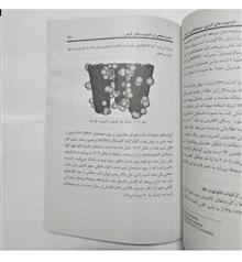 نانوتیوب