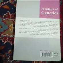 مبانی
