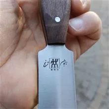 بهترین