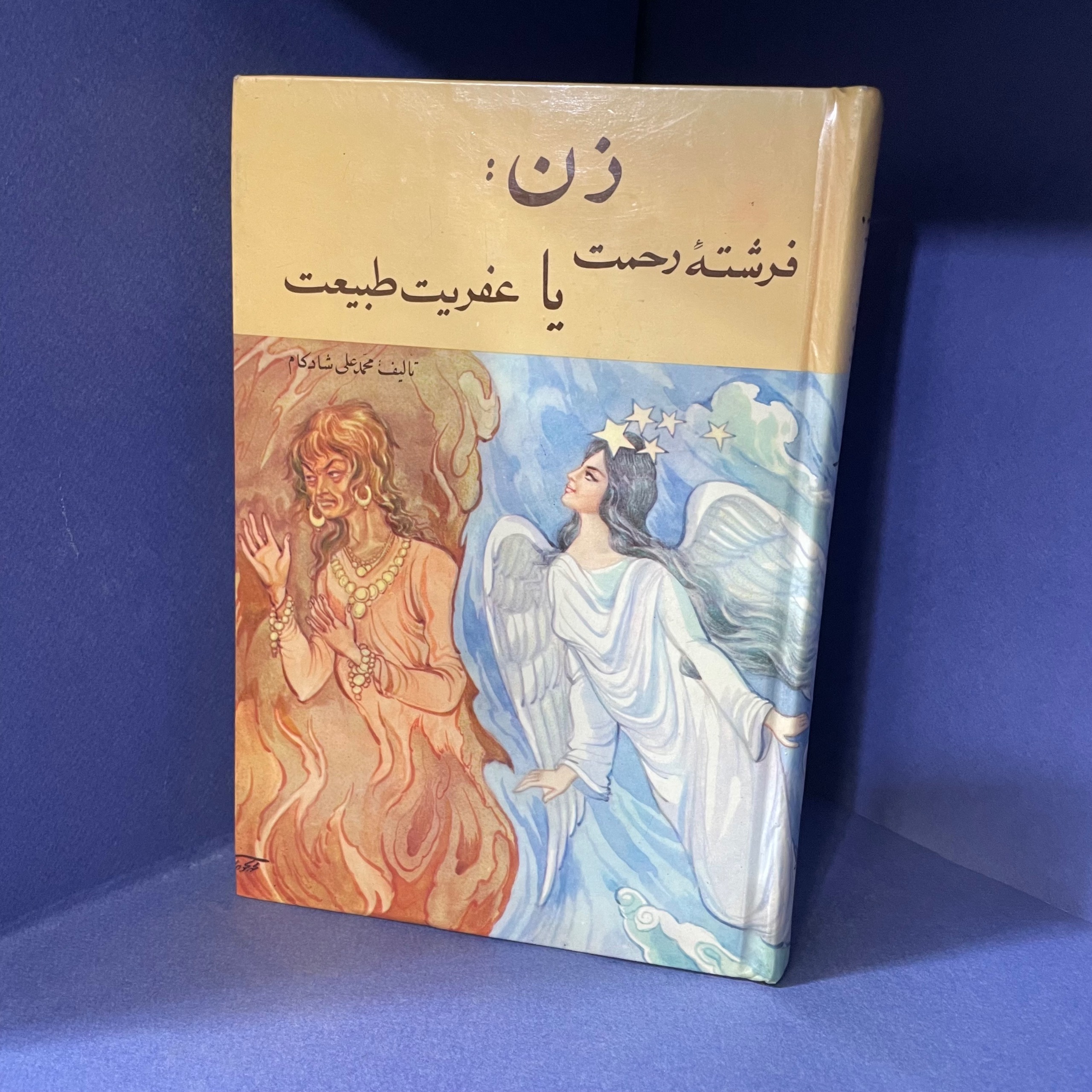 زن (فرشته رحمت یا آفرین طبیعت)1354