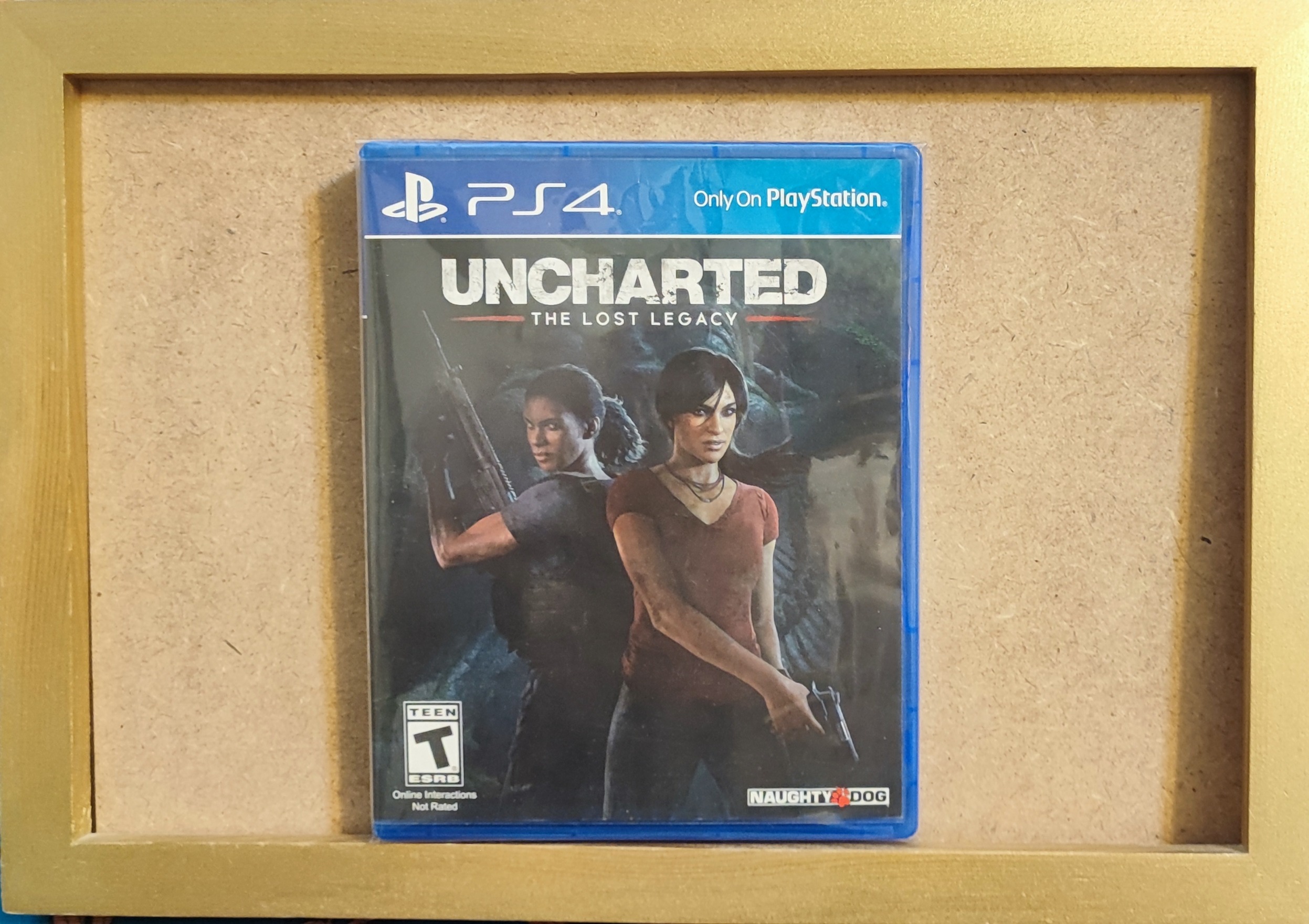 Uncharted The Lost Legacy Ps4 پلمپ ریجن all