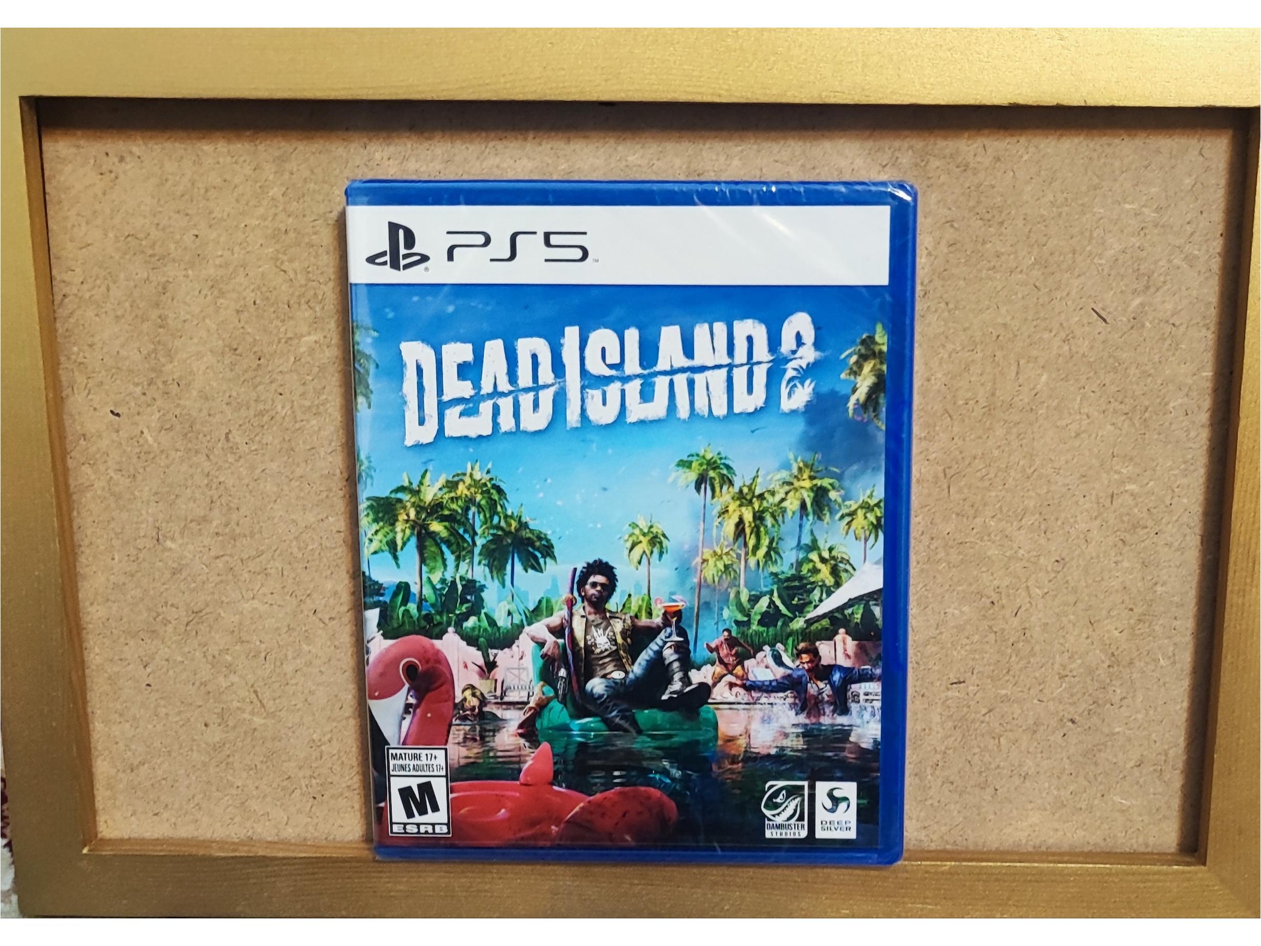 Dead Island 2 Ps5 پلمپ ریجن all