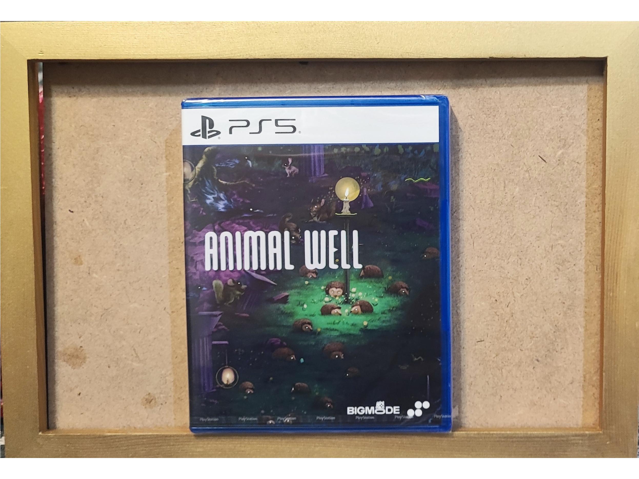 Animal Well Ps5 پلمپ
