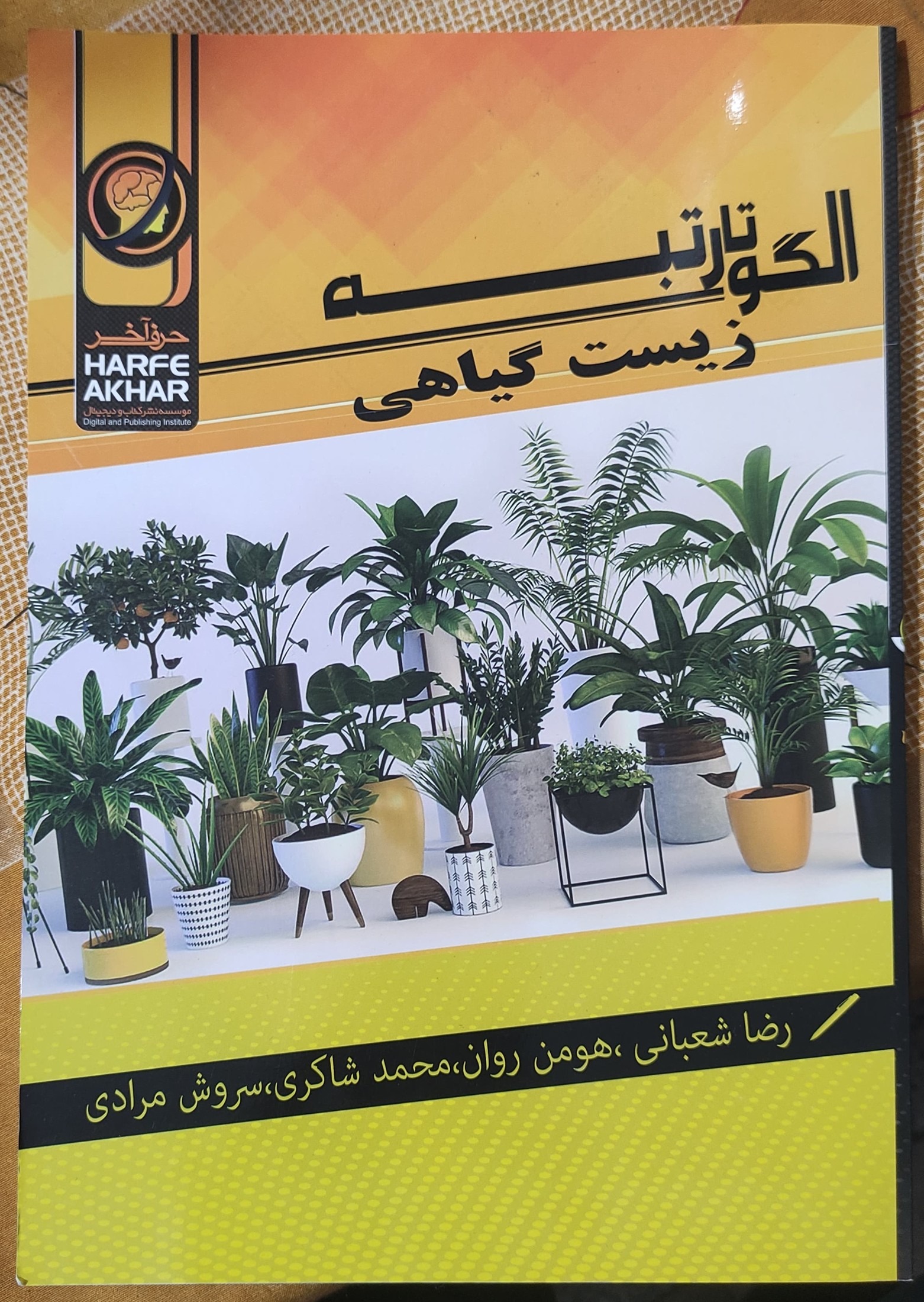 زیست گیاهی الگو تا رتبه