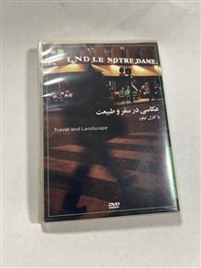 دی