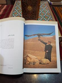 درون
