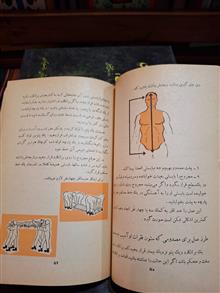 معرفت