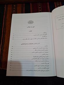 شاندیز