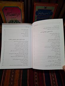 شاندیز