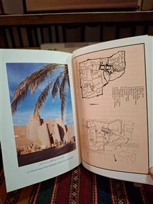 نیمرخی