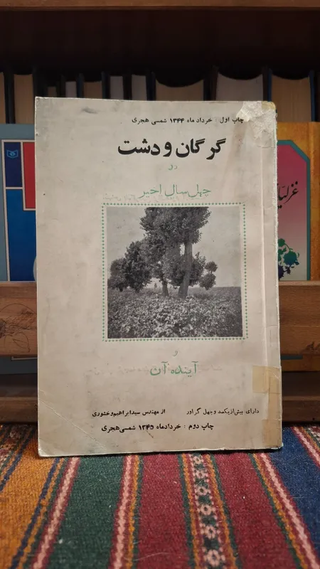 گرگان و دشت در چهل سال اخیر و آینده آن