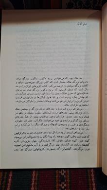 جندق