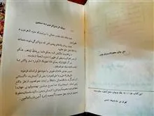شیعه