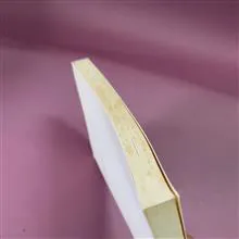 مطالعات
