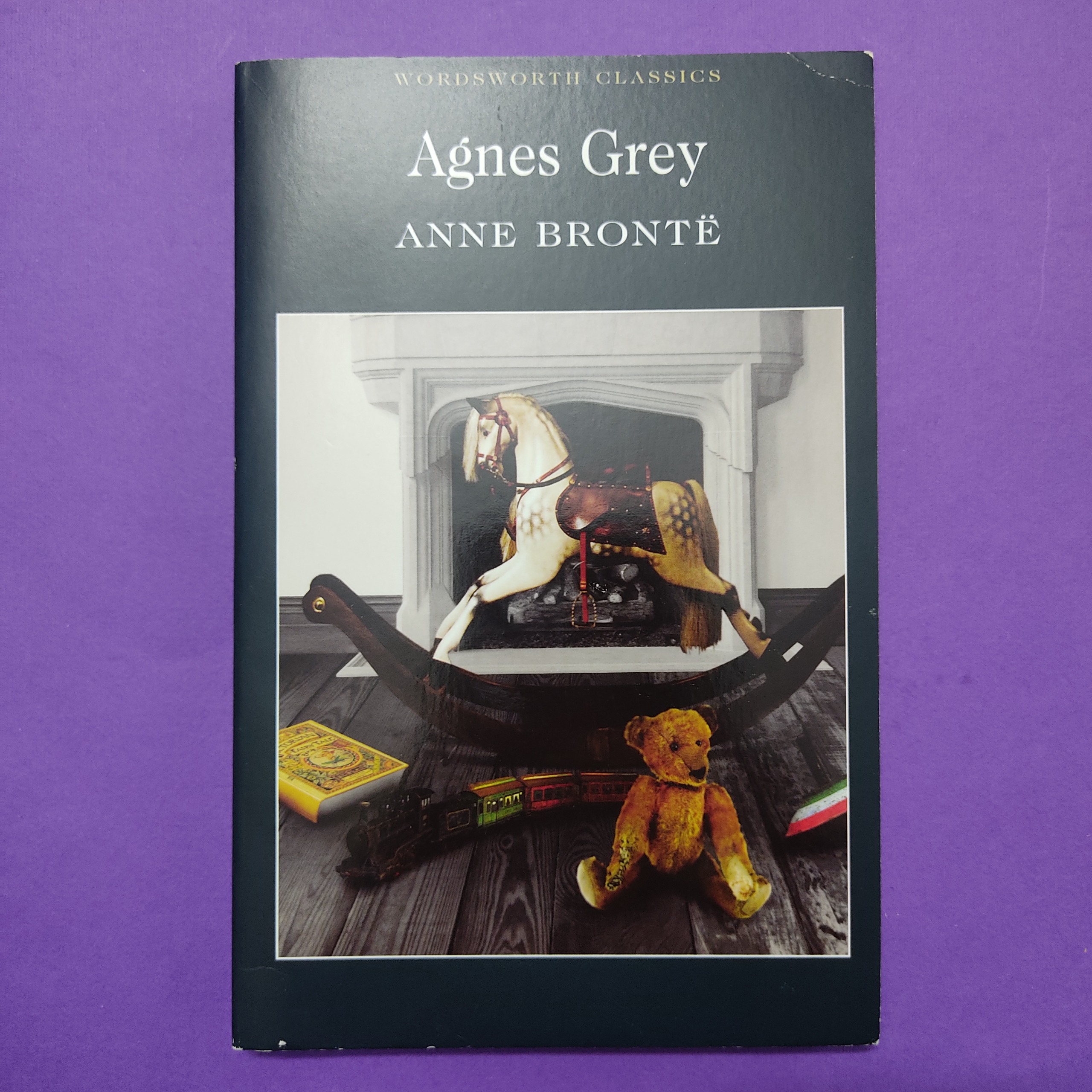 Agnes Grey ANNE BRONTÈ اگنس گری