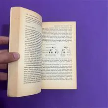The