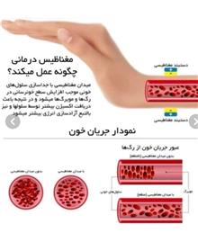 جدیدترین