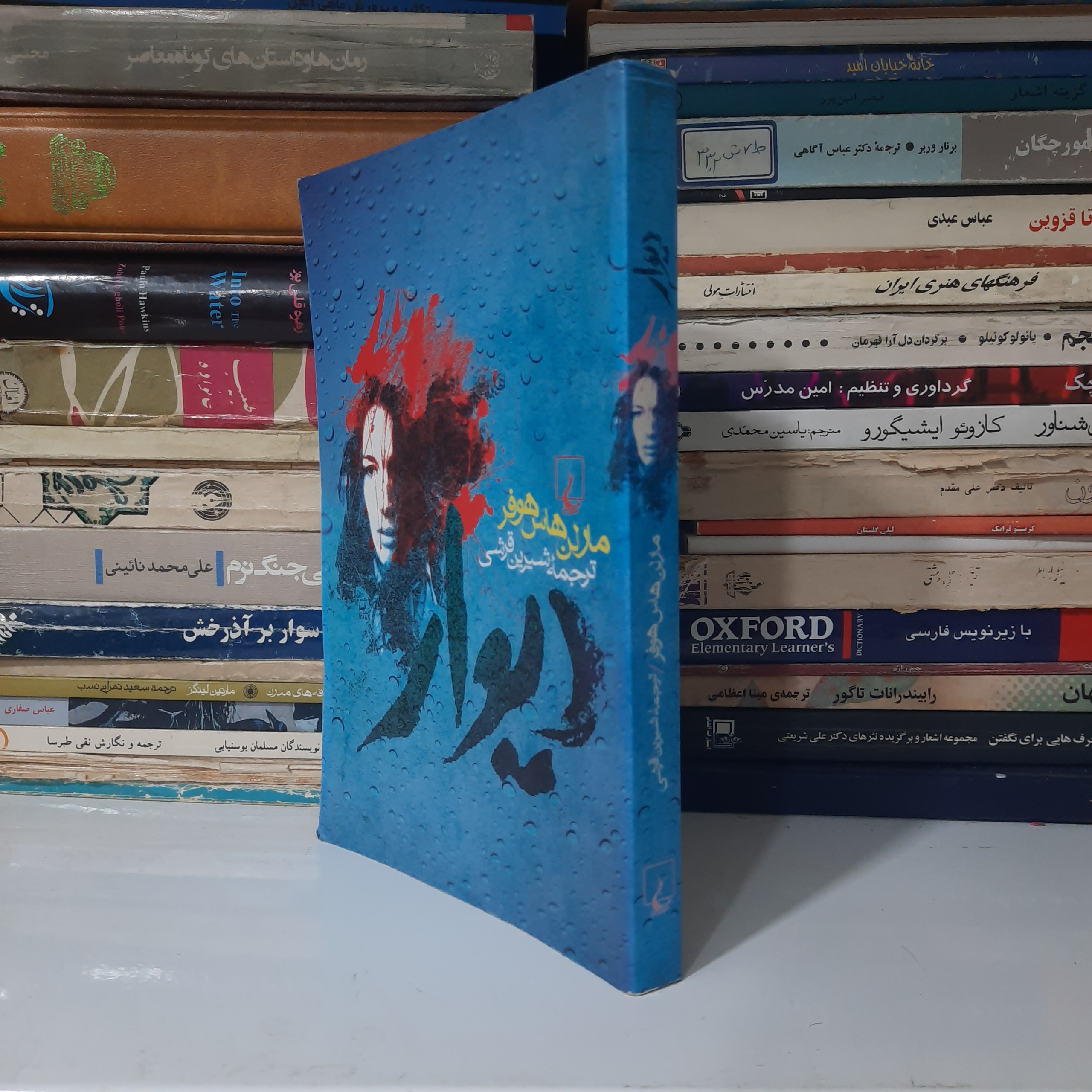 کتاب دیوار ، نوشته ی مارلن هاس هوفر