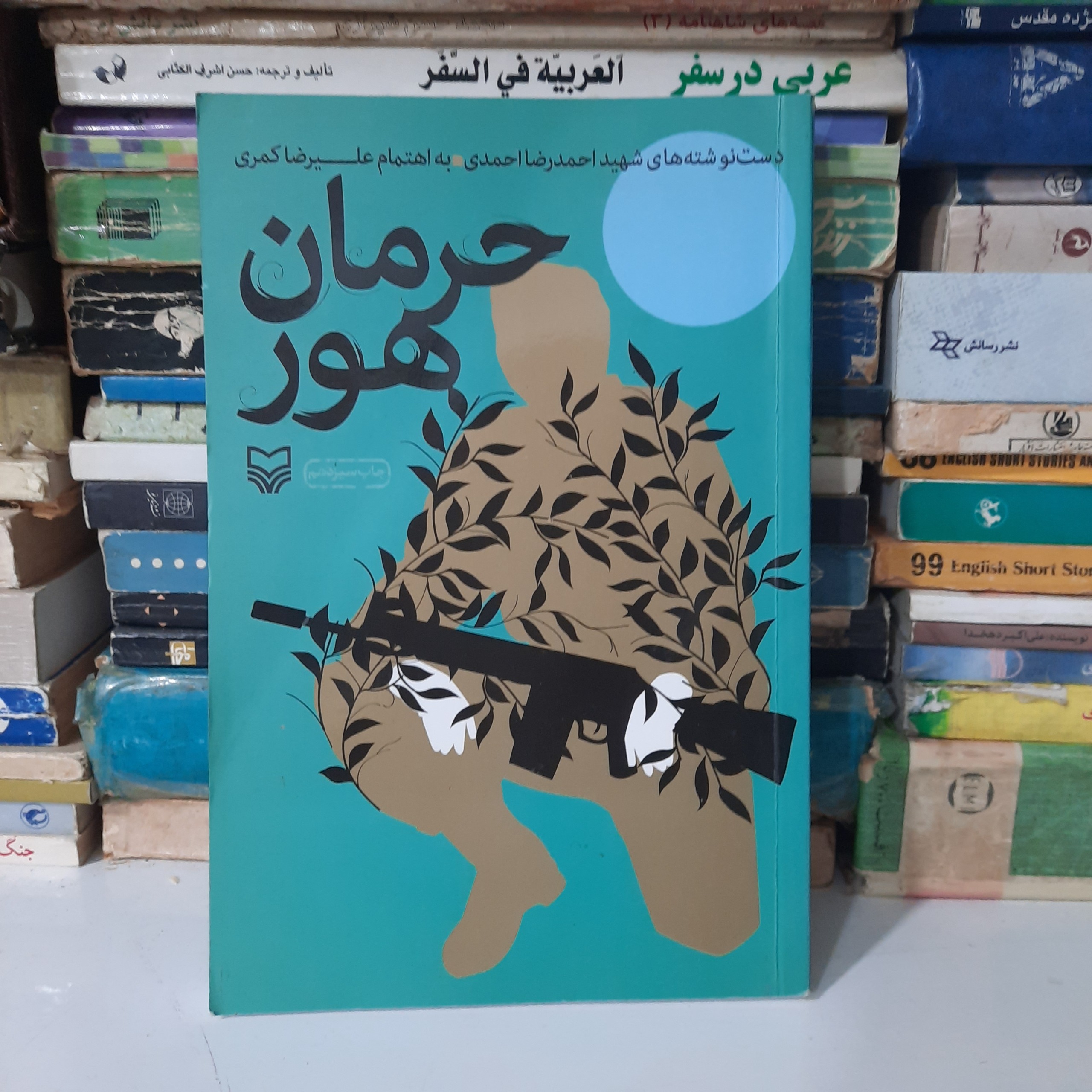 کتاب حرمان هور ( شهید احمدرضا احمدی )