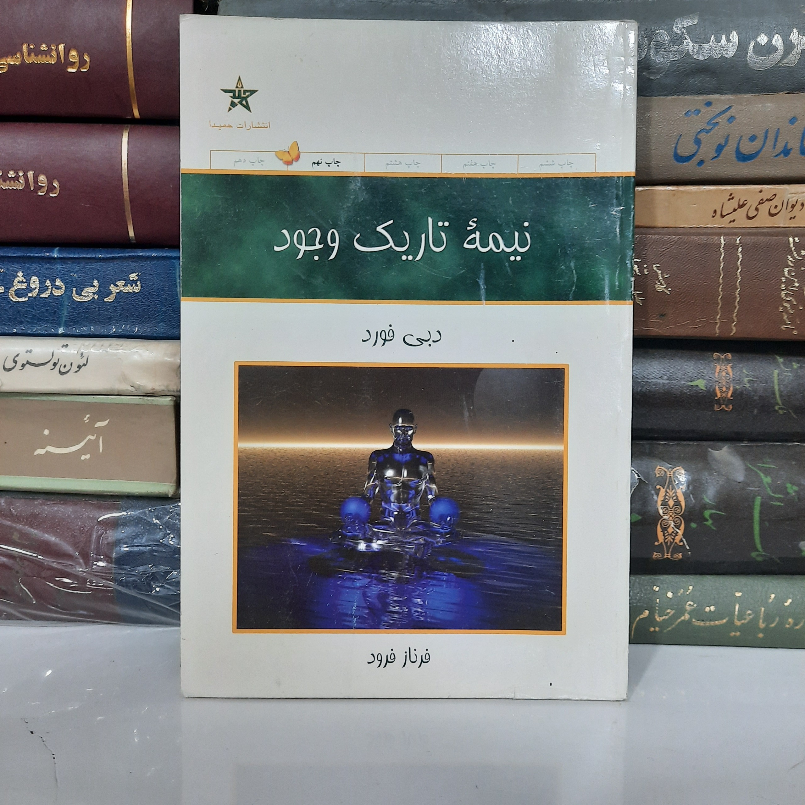 نیمه تاریک وجود، نوشته ی دبی فورد