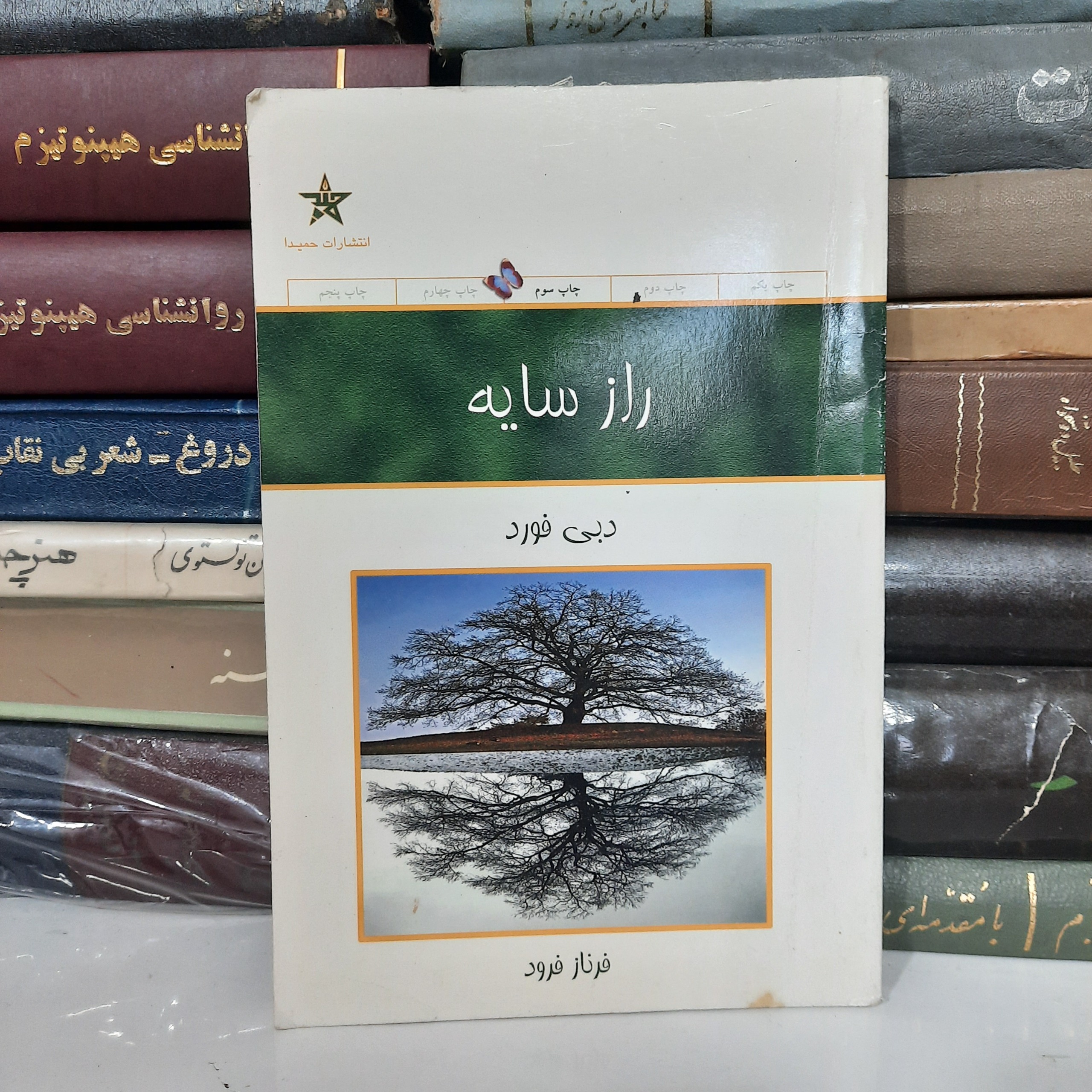 راز سایه ، دبی فورد