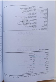 الکترونیک