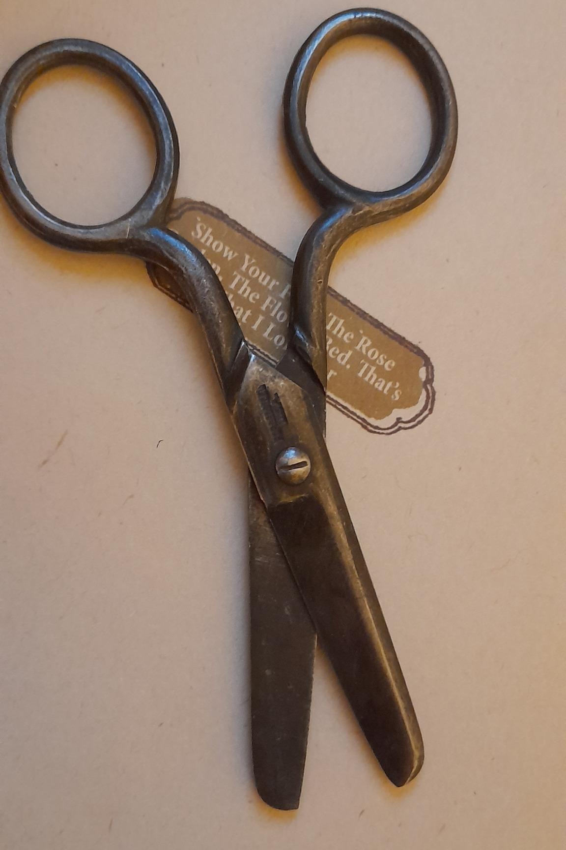 قیچی و موچین 3 عدد آنتیک فولادی قدیمی کلکسون