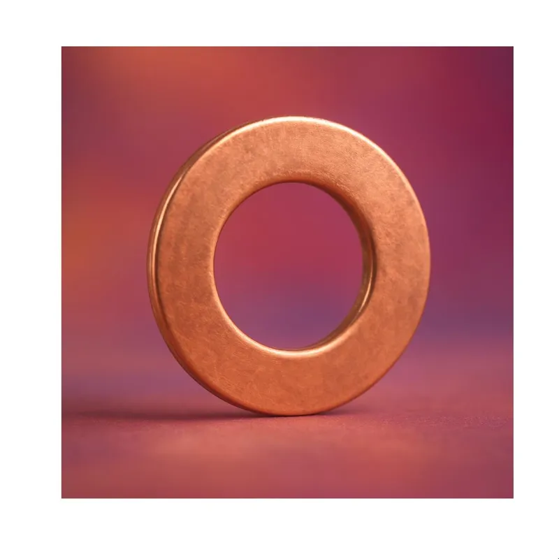 واشر مسی 21 میل 10عددی