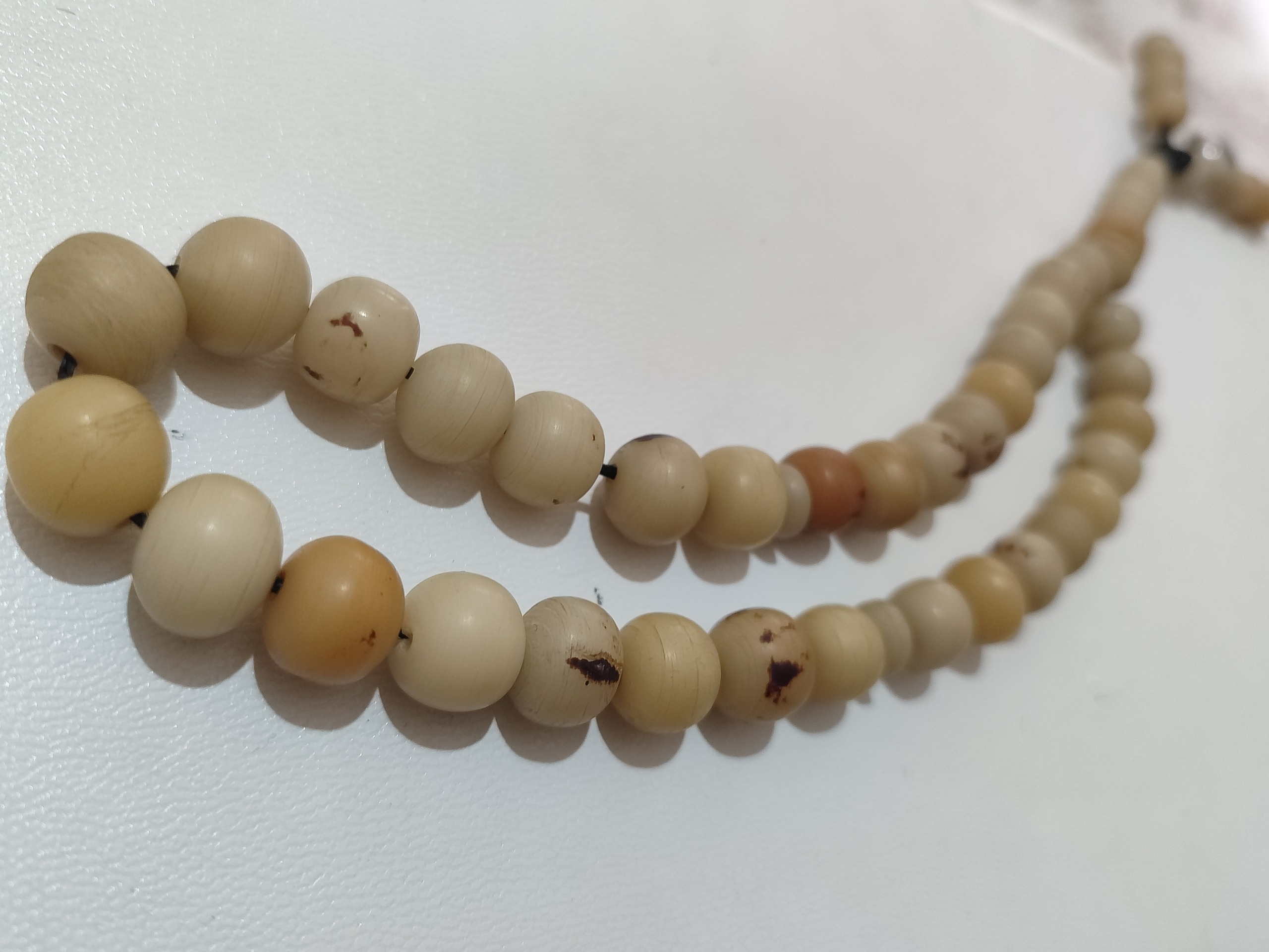 تسبیح هسته خرمایی وحشی