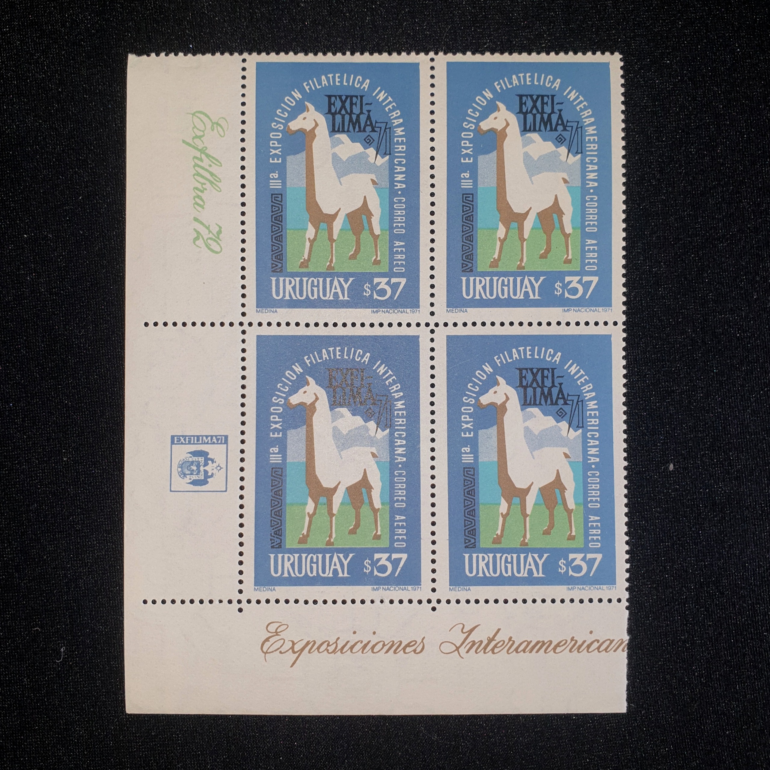 بلوک زیبای اروگوئه اروپایی (12)