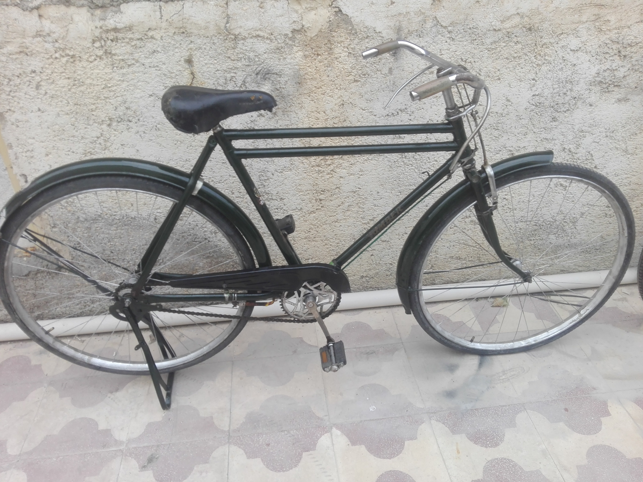 هامبرجک دوپا سبزتیره