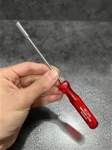 پیچگوشتی