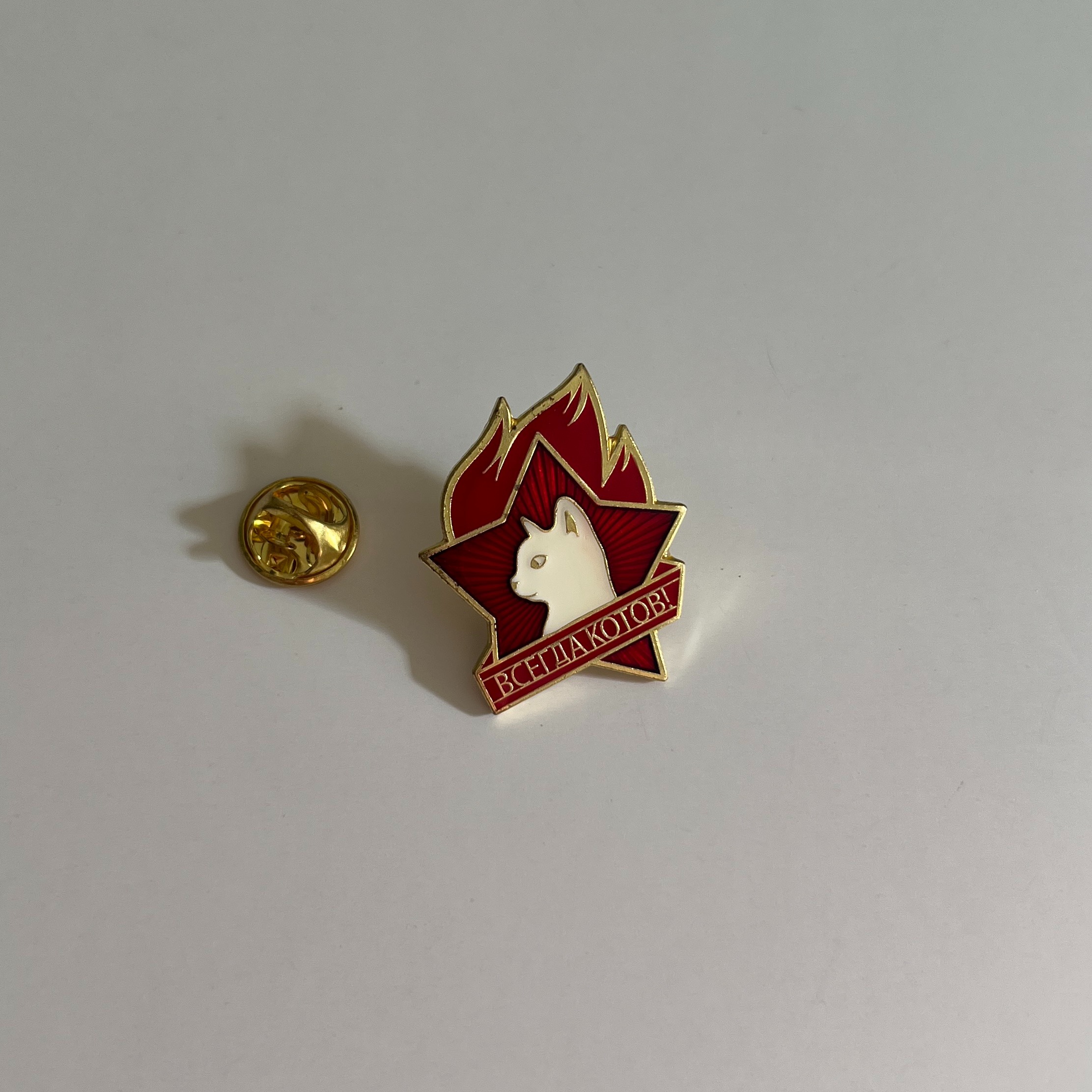 بج سینه کلکسیونی