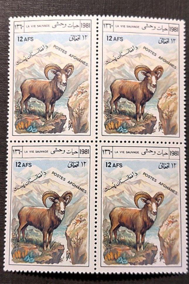 بلوک تمبر افغانستان 1981 بز کوهی