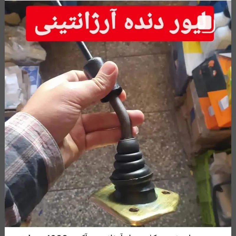 لیور دنده پیکان آرژانتینی