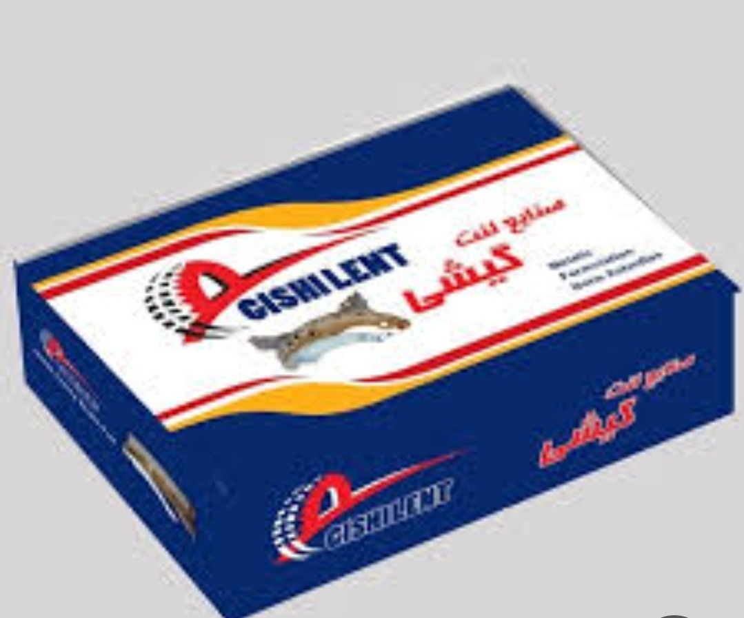 لنت ترمز چرخ جلو نیسان گیشی لنت