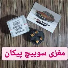 مغزی
