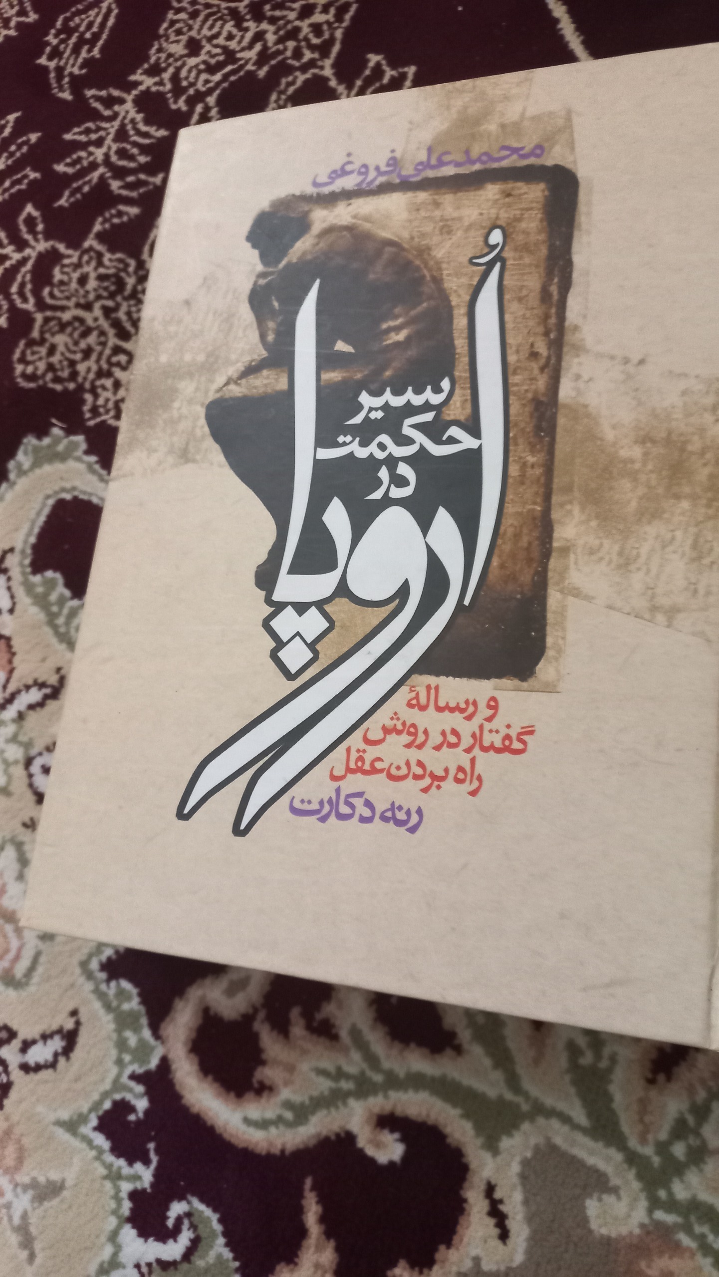 کتاب سیر حکمت در اروپا