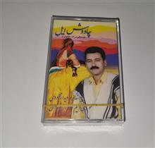 دیدارمحمودی