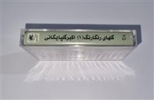 اکبرگلپایگانی