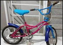 دوچرخه
