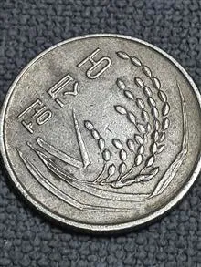 سکه