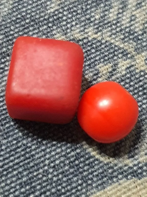 جفت مهره فوق کهنه مرجان معدنی