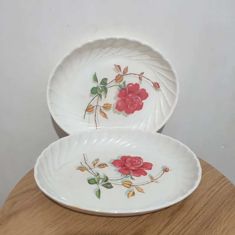 دو عدد دیس قدیمی ملامین