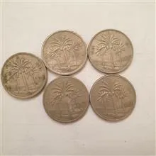 5عدد