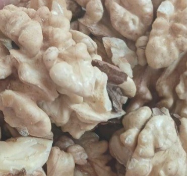 مغز گردو سفید ایرانی