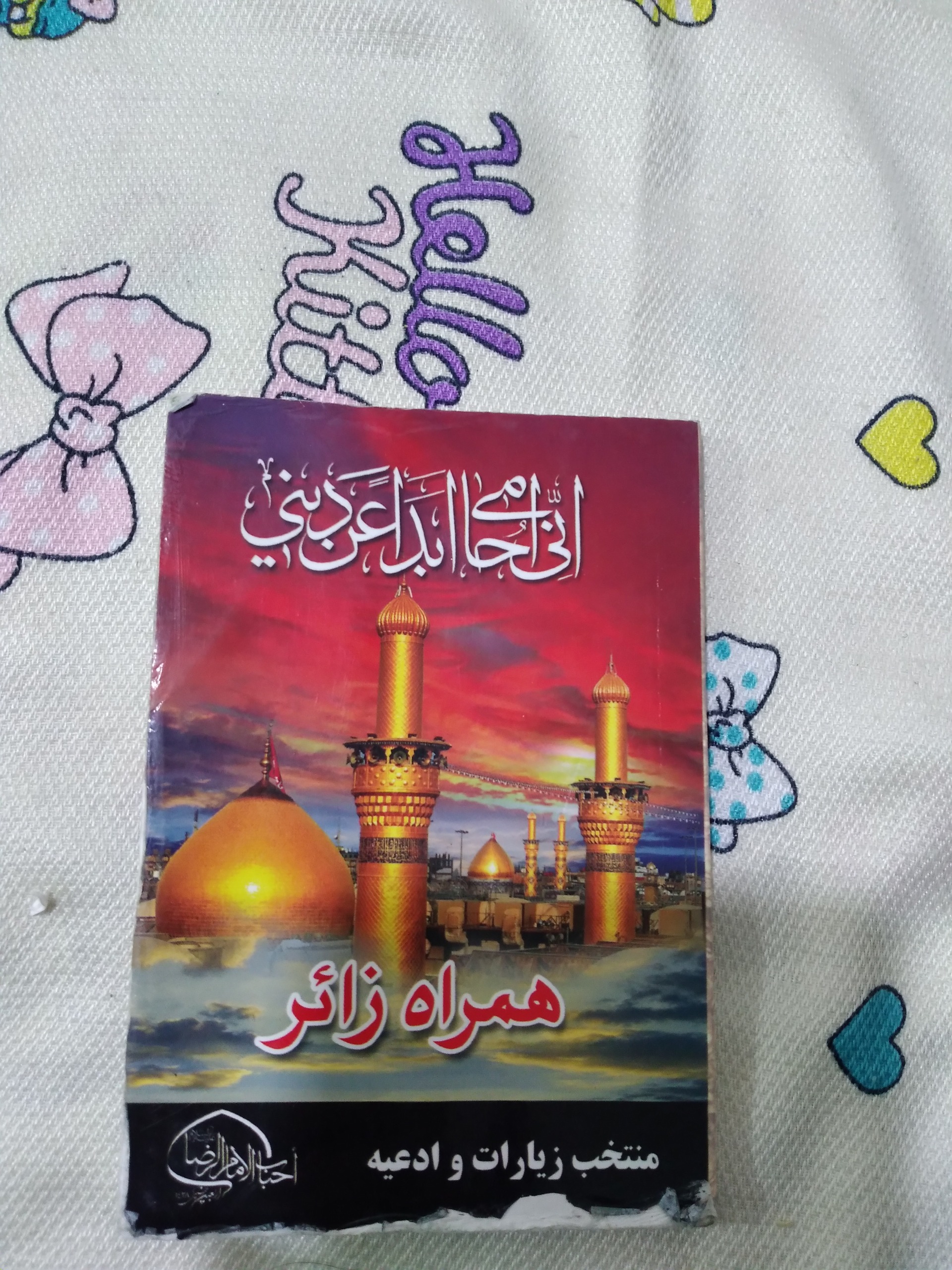 همراه زائر طبق عکس