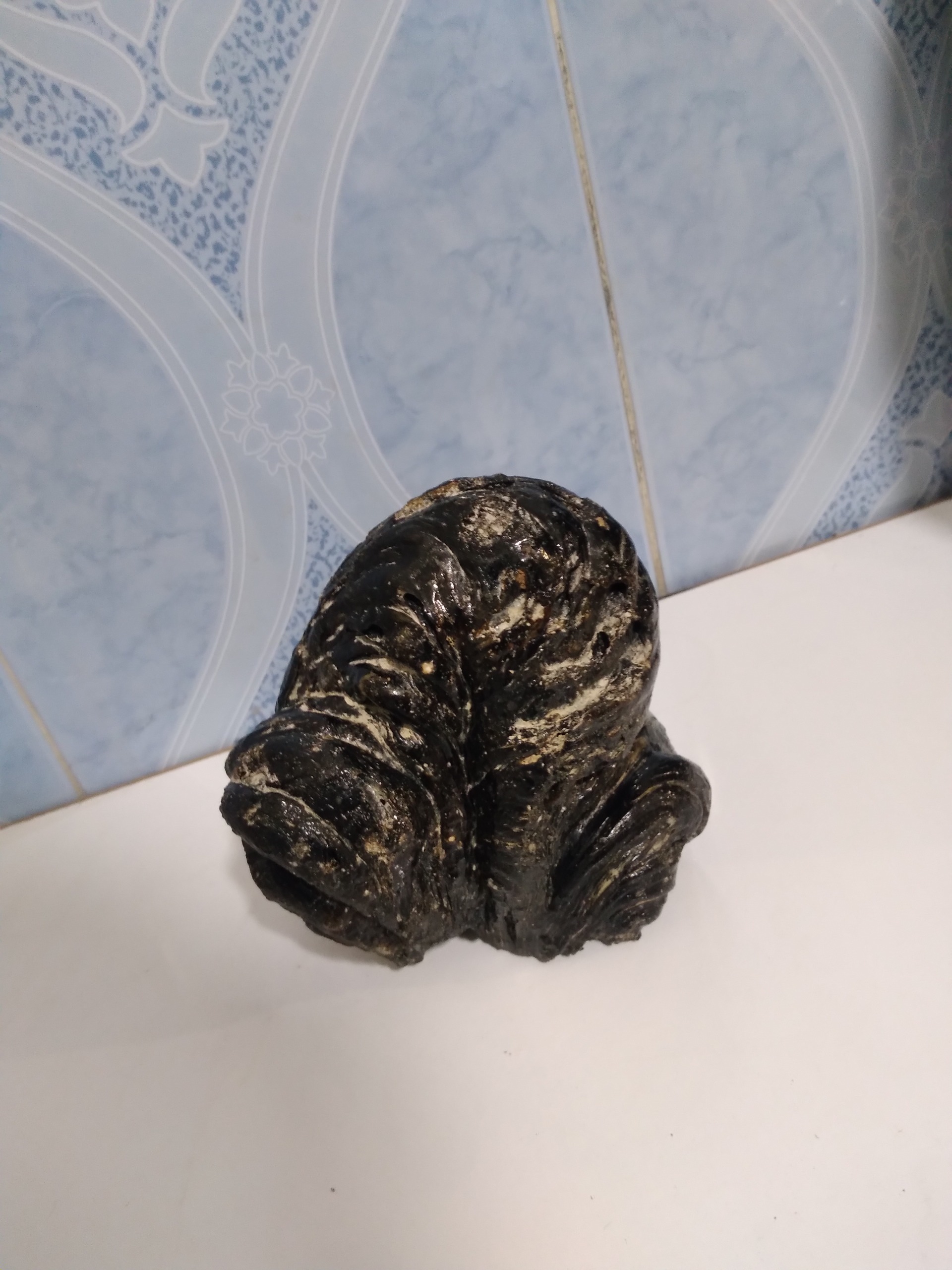 سنگ شگفت انگیز کلکسیونی نایاب