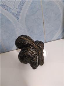 سنگ