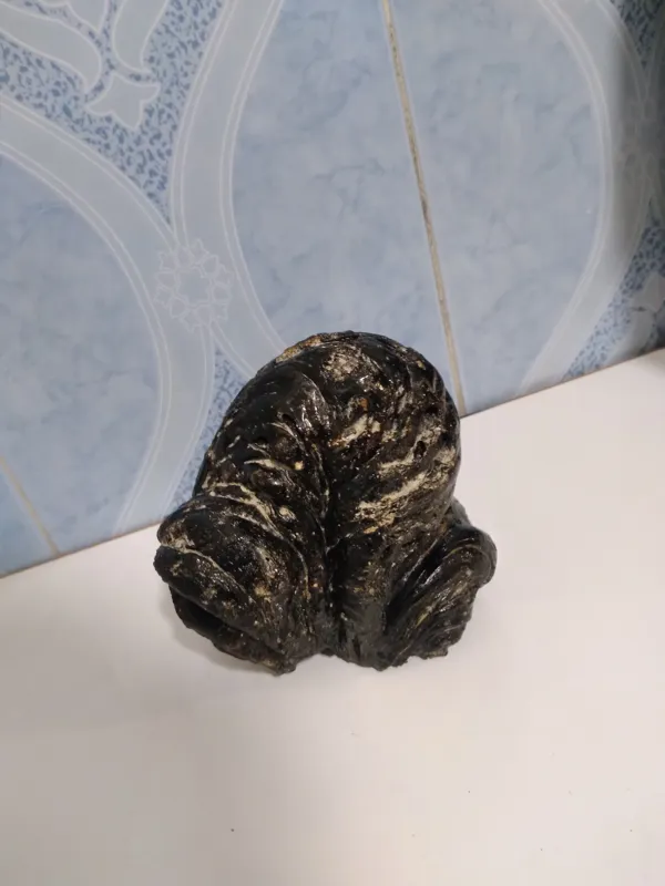 سنگ شگفت انگیز کلکسیونی نایاب